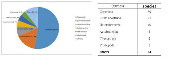 Bulk sample를 통해 분석된 131개의 분류군 (Taxa(subclass), Species numbers, Percentage)