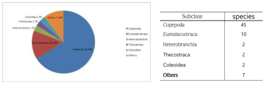 Bulk sample를 통해 분석된 68개의 분류군 (Taxa(subclass), Species numbers, Percentage)