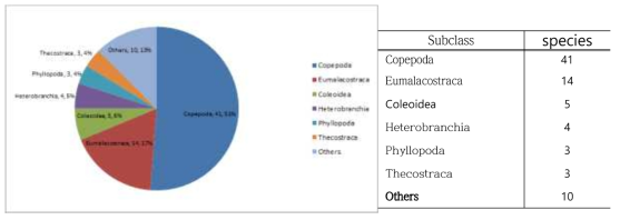 eDNA를 통해 분석된 80개의 분류군 (Taxa(subclass), Species numbers, Percentage)