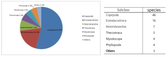 Bulk sample를 통해 분석된 85의 분류군 (Taxa(subclass), Species numbers, Percentage)