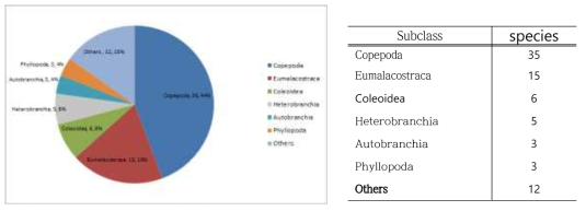 eDNA를 통해 분석된 79의 분류군 (Taxa(subclass), Species numbers, Percentage)