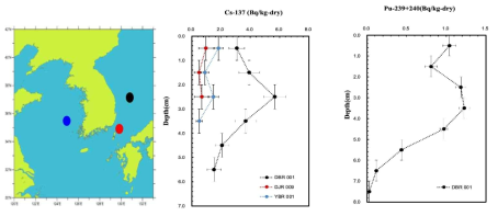 동해 및 황해 심해 퇴적물에서의 방사성 동위원소 핵종 분포