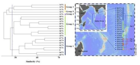 Dendrogram showing groups clustered with the Bray–Curtis index based on mesozooplankton abundance on a transect along 67°E from 16°S to 5°N in the western Indian Ocean. Group: Gp