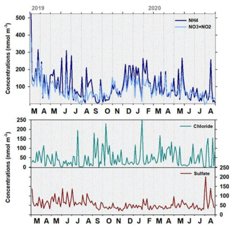 암모늄염, 질산염(+아질산염), 염화물, 황산염 농도 변화