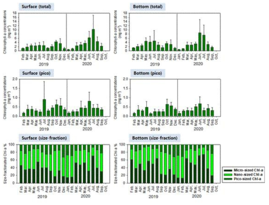2019년, 2020년 부산 본원 모니터링 정점의 수심별 엽록소 농도 및 식물플랑크톤 크기 구조