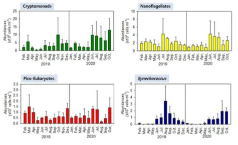2019년, 2020년 영도 모니터링 정점의 저층 식물플랑크톤 개체수 분포