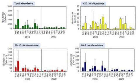 2019년, 2020년 영도 정점의 표층 식물플랑크톤 크기별 개체수 분포 (FlowCAM)