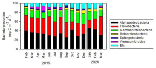 2019년, 2020년 영도 모니터링 정점에서 월별 박테리아 다양성 분석 결과
