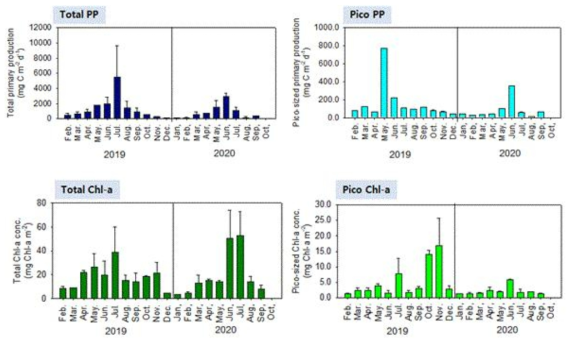 2019년, 2020년 영도 모니터링 정점에서 total 및 pico 사이즈의 일차생산력 및 엽록소 농도 변화