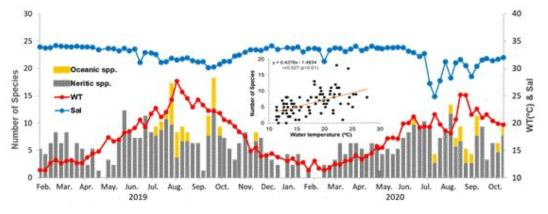 2019-2020년 유종섬모류 출현종수(외양성 난류종과 연안종)와 수온과 염분의 변화