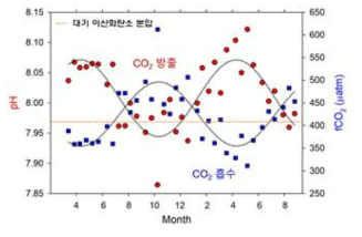 제주 정점에서의 pH와 해양 표층 이산화탄소 분압(fCO2SW) 월 변화