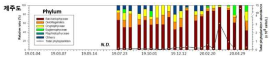 제주도의 식물플랑크톤 총 개체수 및 조성