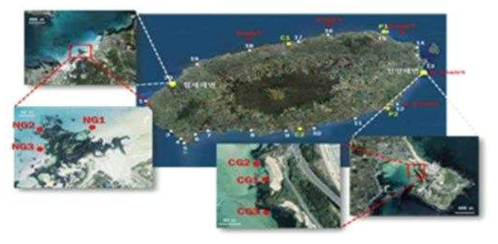 제주 연안 중형저서동물 장기 모니터링 수행 20정점