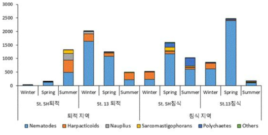 해안퇴적 지역과 침식 지역의 중형저서동물 군집 (unit: 개체)