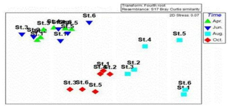 중형저서동물 군집의 MDS 분석