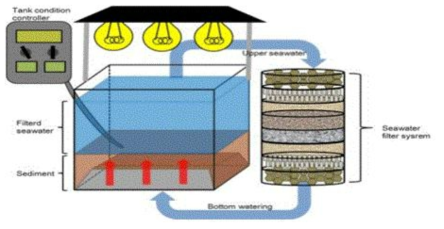 중형저서동물 배양시스템의 배양수조 구조