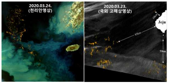 2020년 3월에 천리안영상(좌)과 국외 고해상도 영상(우)으로 발견한 동중국해 및 제주연안 유입 괭생이모자반 분포