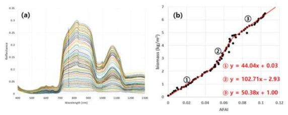 (a) 괭생이모자반 생체량별 반사도 특성 변화. (b) 괭생이모자반 생체량 vs. AFAI 측정값 변화