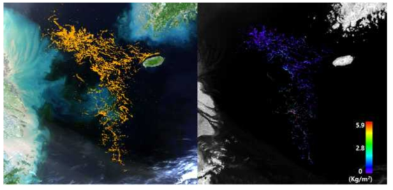 갈조류 생체량 추정 알고리듬을 5월 13일 GOCI 영상(좌)에 적용하여 추정한 괭생이모자반 생체량(우)
