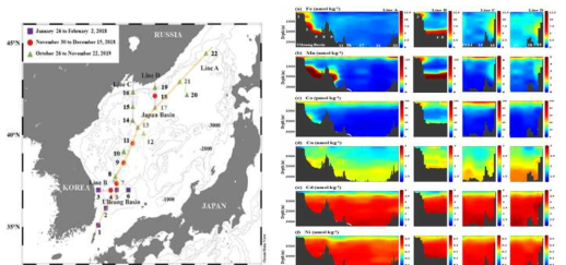 동해 주요 미량금속 Fe, Mn, Co, Cu, Cd, Ni의 수직-수평 분포도