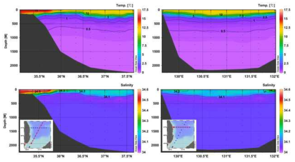 수온(상)과 염분(하)의 두 조사 라인에 대한 수직·수평 분포도