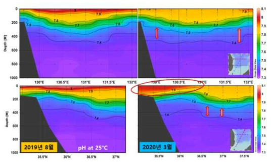 2019년 8월(좌)과 2020년 3월(우)의 경도별(상), 위도(하)별 pH 분포 비교