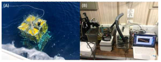 심해저 벤틱랜더 투하(A)와 코어 실험실 배양법을 통한 총 산소소모율 측정(B)