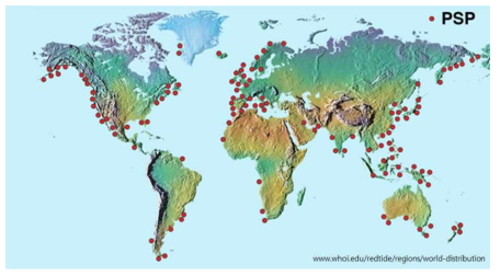 2015년까지 기록된 마비성패독(PSP) 발생 해역 Woods Hole Oceanographic Institution Website