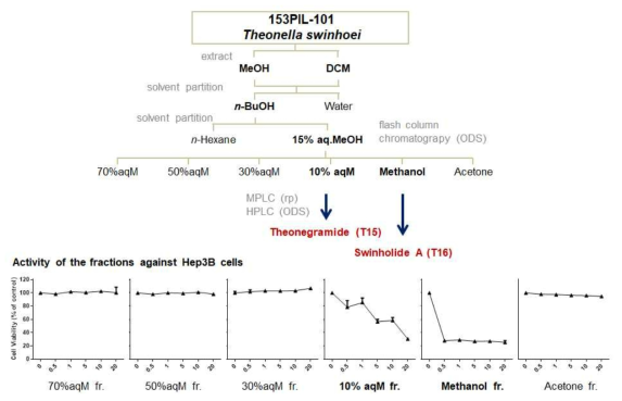 T. swinhoei로부터 세포독성 천연물 추적 과정