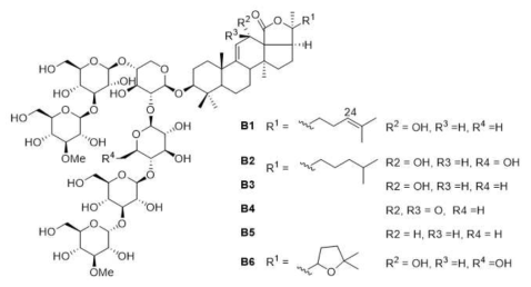 B.vitiensis로부터 분리된 saponin 계열 화합물