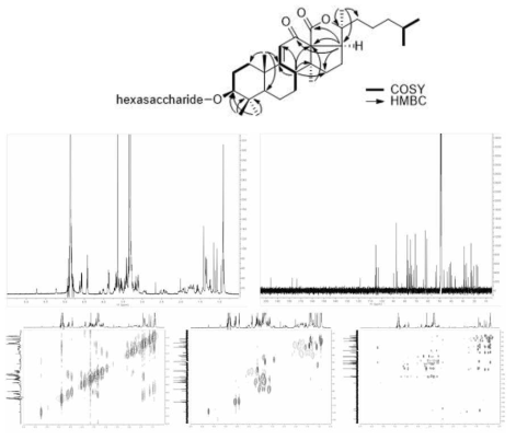 B. vitiensis 유래 신규 saponin 화합물 (B4)의 2D NMR 분석 결과