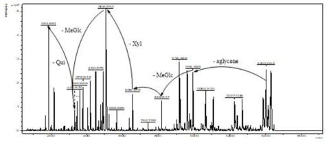 B. vitiensis 유래 신규 saponin 화합물 (B4)의 MALDI-TOF MS/MS 분석 결과