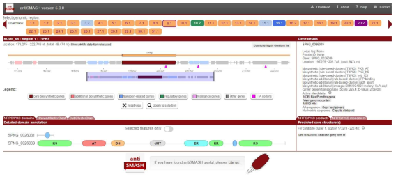 해면 메타게놈으로부터 예측된 PKS gene cluster (일부)