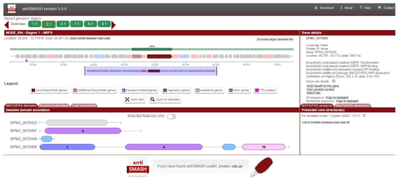 해면 메타게놈으로부터 예측된 NRPS gene cluster (일부)