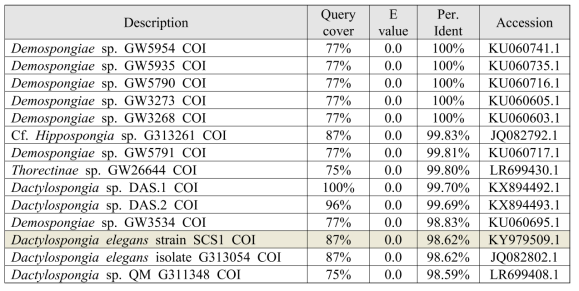 194CH-07 근연종 (COI, similarity 98% 이상)