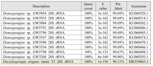 194CH-07 근연종 (28S rRNA, similarity 98% 이상)