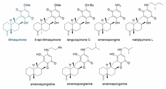 194CH-07로부터 분리된 기지 meroterpenoid 8종