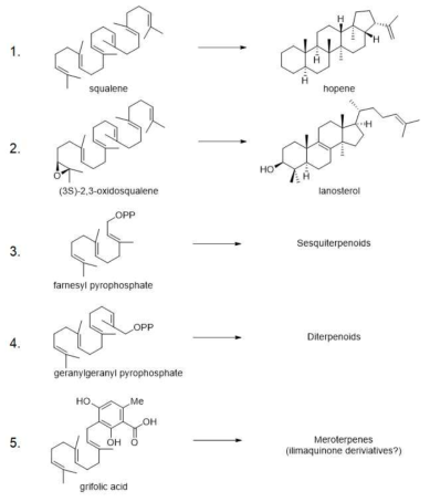 Terpene cyclase 기능 확인을 위한 in vitro assay 반응