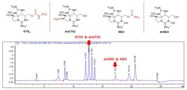 HPLC 상에서 마비성 패류독 유도체 신호의 중첩