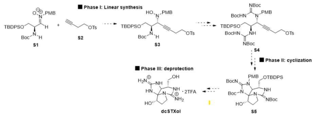 dcSTXol의 합성 전략