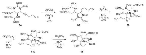중간체 S5 합성을 위한 Phase II 합성 경로