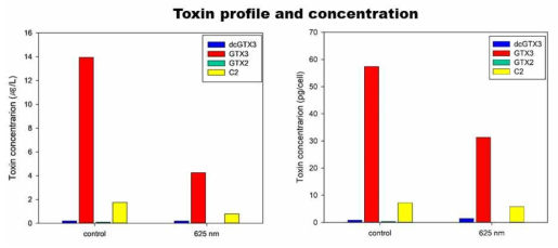 복합파장과 red 파장에서 확보된 G. catenatum의 독소 농도