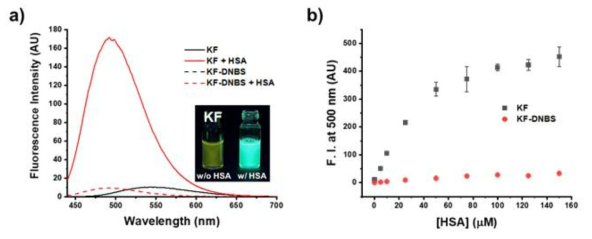 KF와 KF-DNBS의 HSA결합 형광증폭 비교실험 (KF, KF-DNBS 25 uM, 10% DMSO, HSA 100 uM)