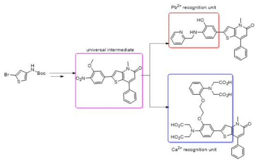 칼슘 이온, 납 이온 센서 합성 (진행중)