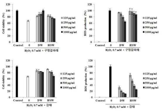 Vero 세포에서 해조류의 발효물의 세포 생존율 및 ROS생성량