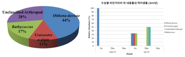 비단가리비 위 내용물 내 먹이생물 비율