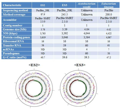 ES2, ES3, A. woodii 및 E. limosum 유전체 특성