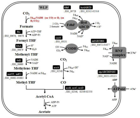 ES2와 ES3의 예측되는 energy conservation system