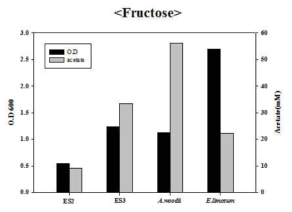 Heterotrophic 조건에서 ES2, ES3, A. woodii 및 E. limosum의 성장 및 acetate 생산성