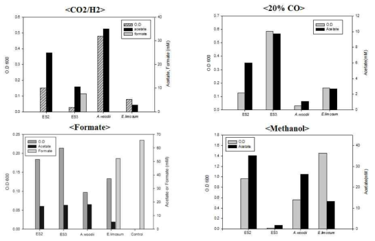 다양한 C1 기질에서 ES2, ES3, A. woodii 및 E. limosum의 성장 및 acetate 생산성